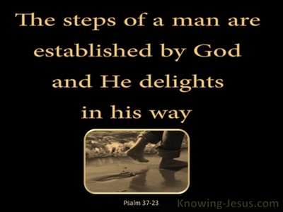 Psalm 37:23 The Lord Establishes The Steps Of A Man (black)